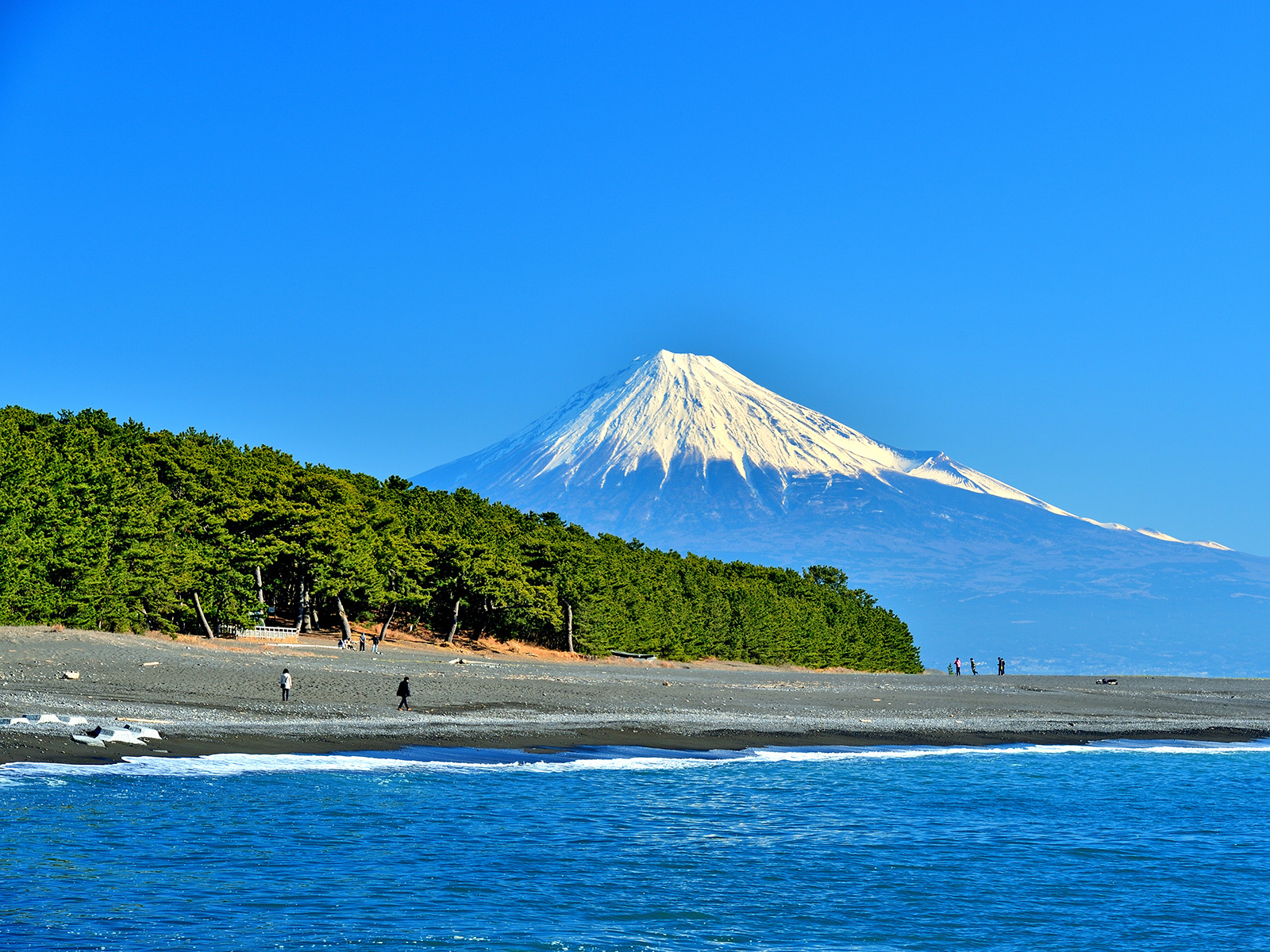 富士山─信仰の対象と芸術の源泉