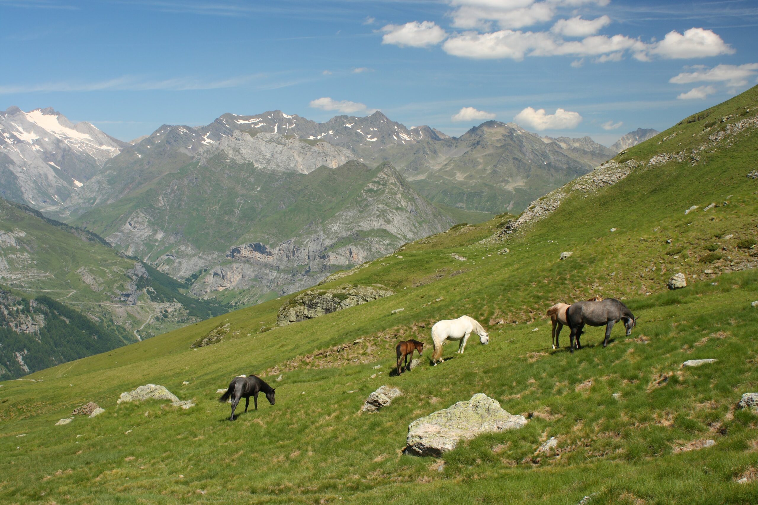 ピレネー山脈のペルデュ山（スペイン、フランス共和国）