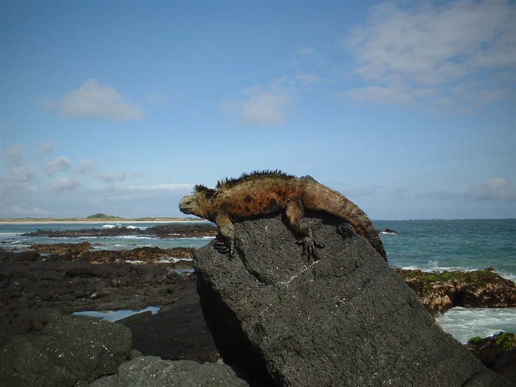 『ガラパゴス諸島』（エクアドル共和国）