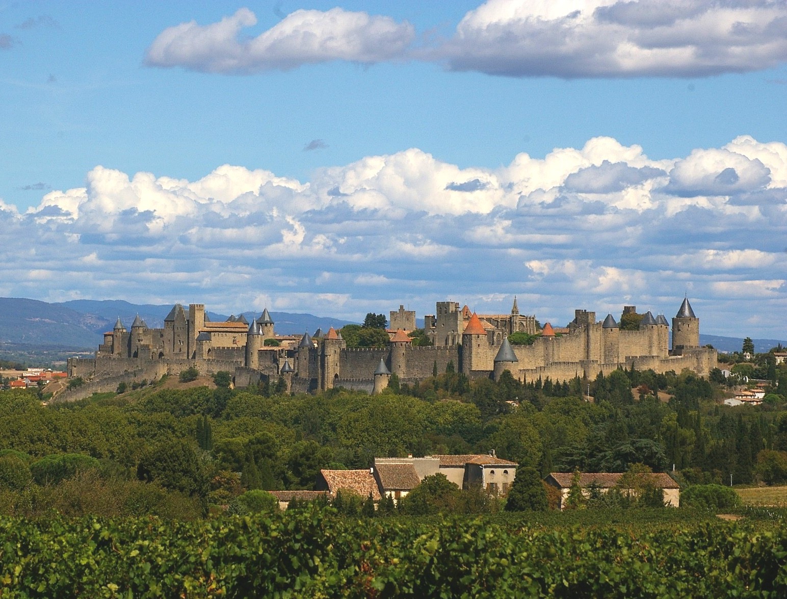 Carcassonne - Big Box (FR)