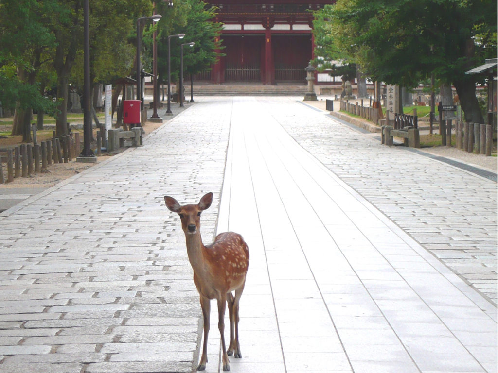 せかけんクイズ No 1 世界遺産検定